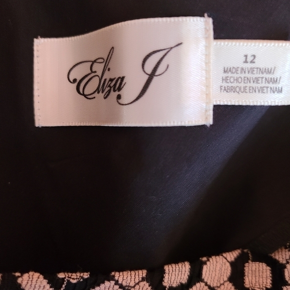 Eliza J Black & Cream Lace Shift Cocktail Dress - 12 - Picture 12 of 12